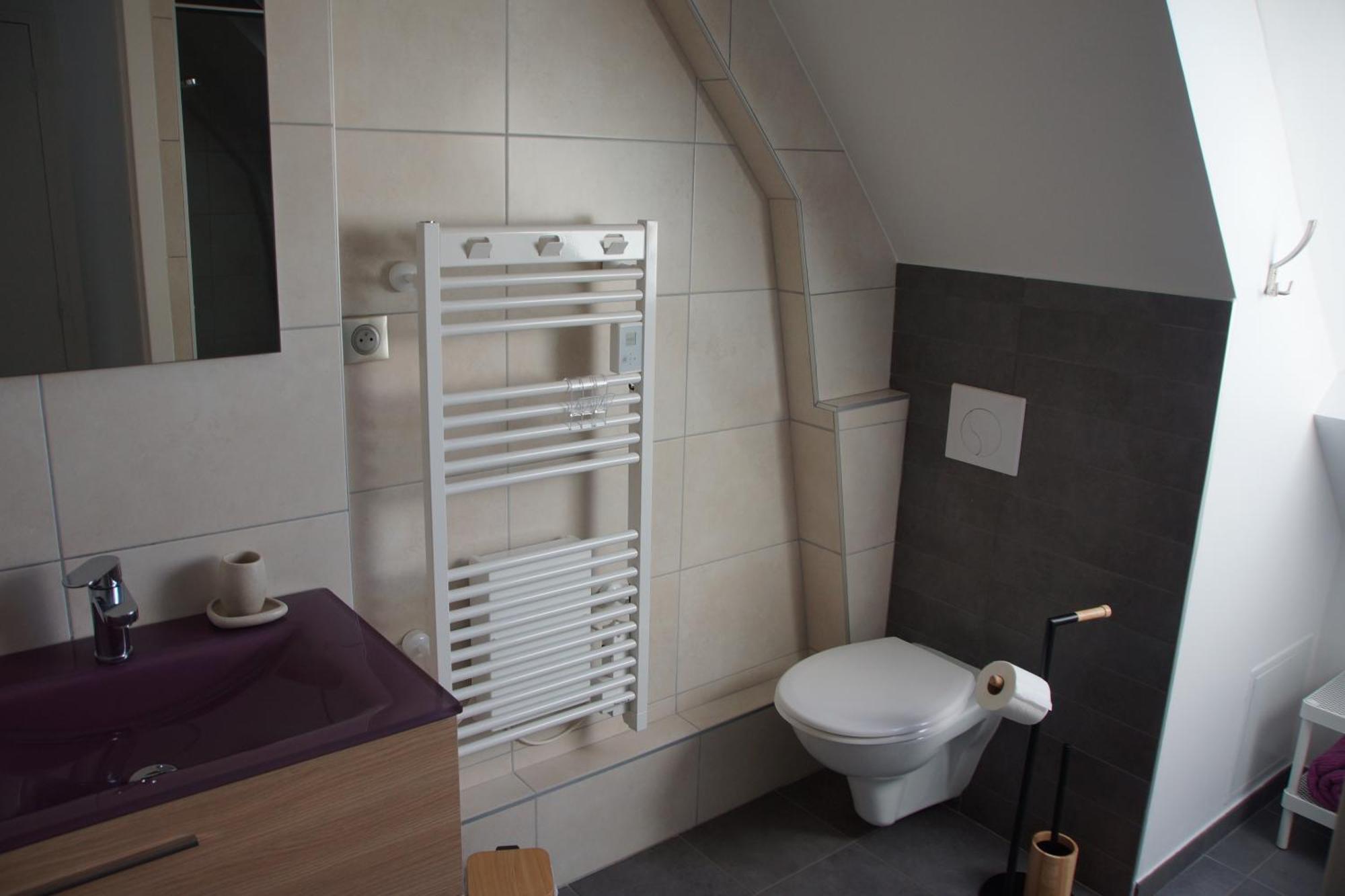 Logis Saponine Chambres D'Hotes Au Calme En Touraine Savonnières Buitenkant foto